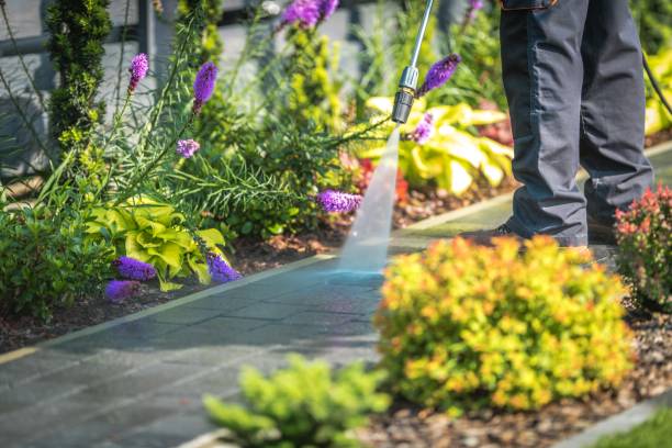 Best Patio and Deck Pressure Washing  in Latta, SC
