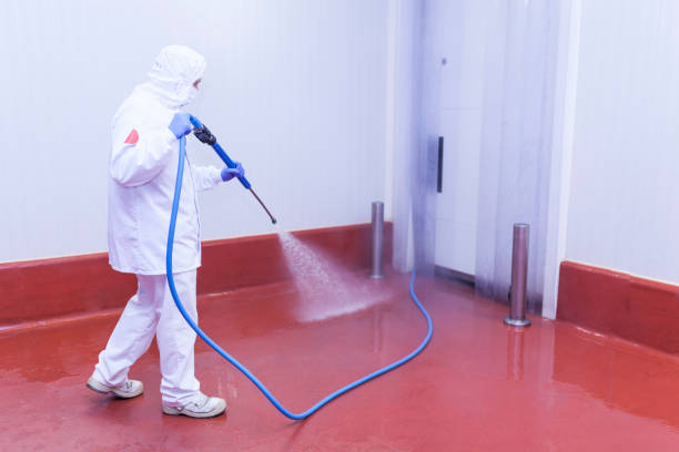 Paint Preparation in Latta, SC