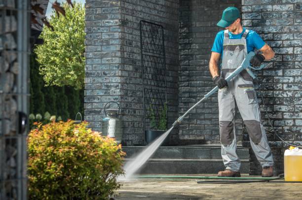 Animal Enclosure Cleaning in Latta, SC